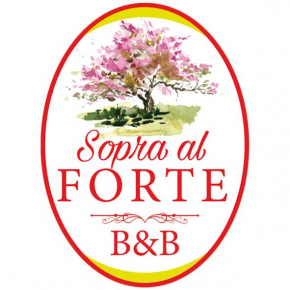 sopra al FORTE Querceta